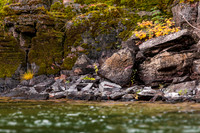 Blackfoot River-6153