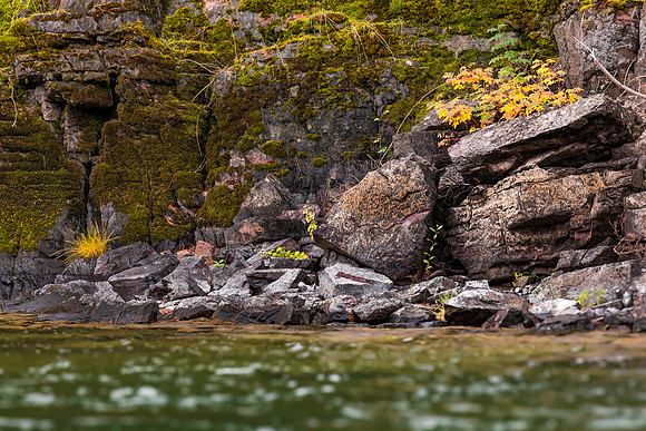 Blackfoot River-6153