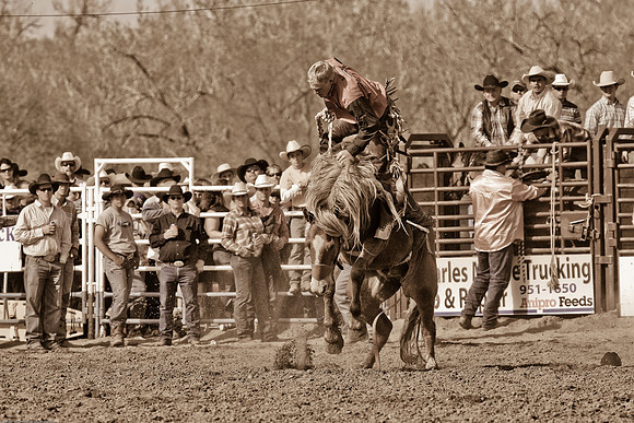 miles_city-1161-530