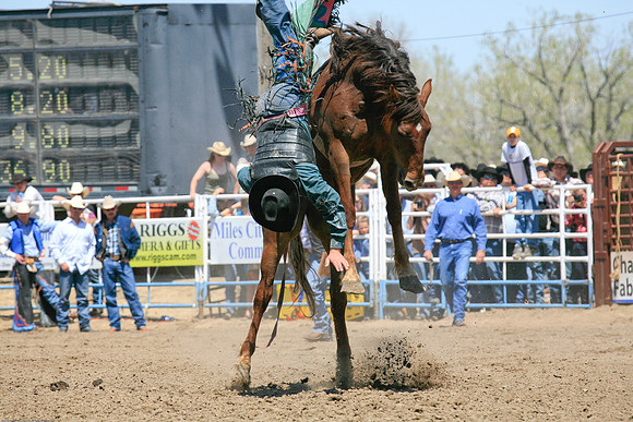 miles_city-1033-66