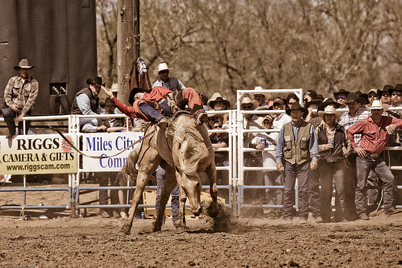 miles_city-2250-305