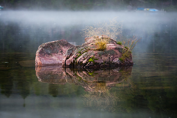 Fog-89