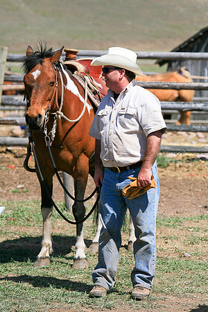 calf_branding_897