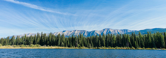 Swan View