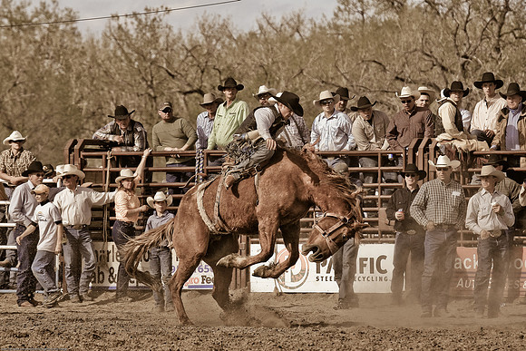 miles_city-1291-576