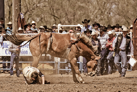 miles_city-2275-319