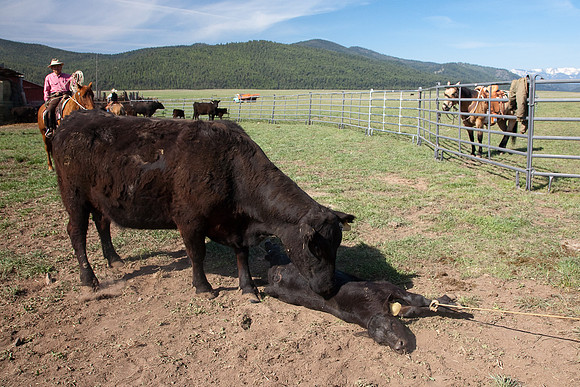 2_850