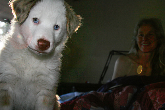 Lilly-