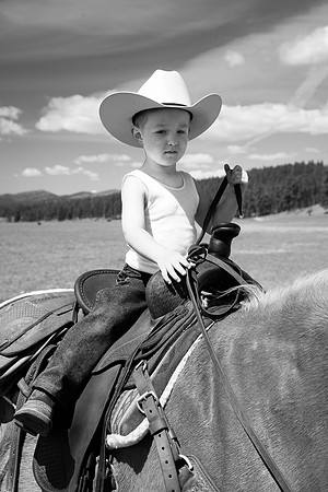 calf_branding_614