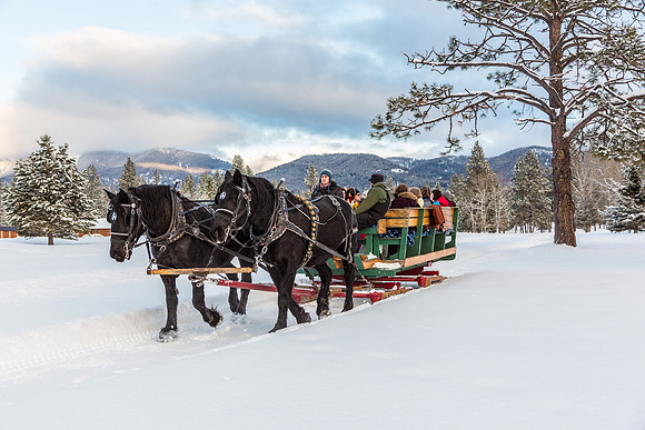 Christmas Sleigh Ride