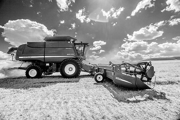 Big Sky Harvest-10