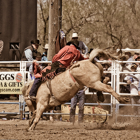 miles_city-2247-302