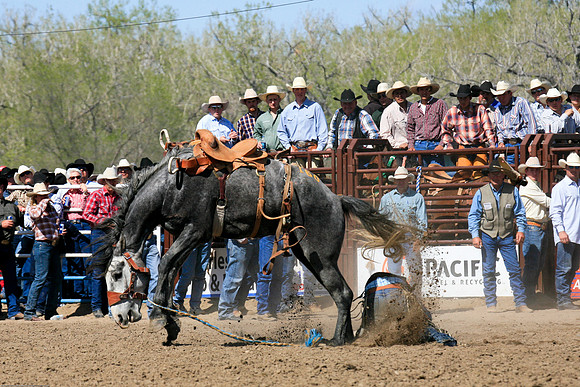 miles_city-2405-368
