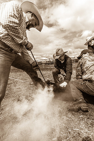 Montana Branding - 2142