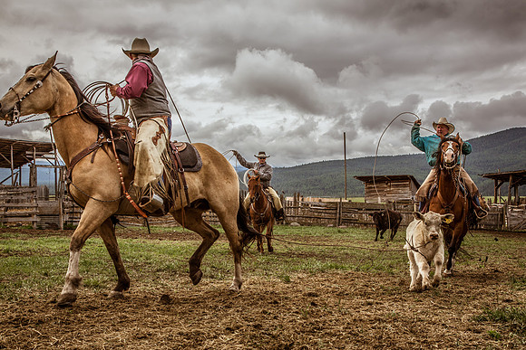 Montana Branding-2009