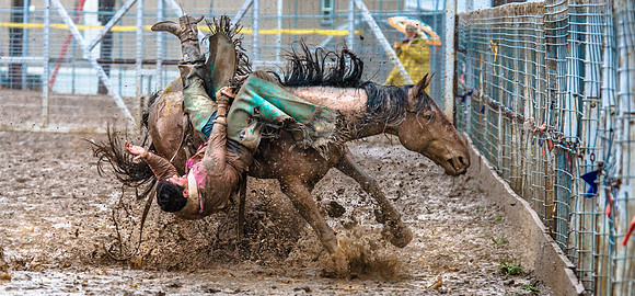 jdsa rodeo-