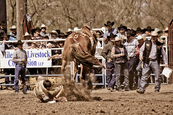 miles_city-2274-318