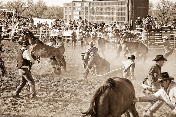 miles_city-1597-618