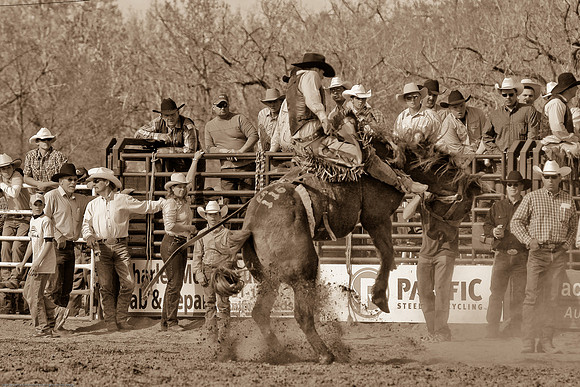 miles_city-1292-577