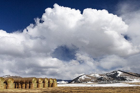 Baled
