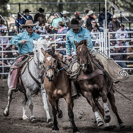 JDSA-2017-05-21-1505