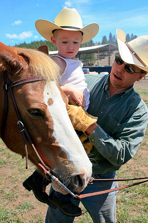 calf_branding_653