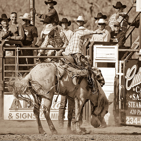 miles_city-1152-524