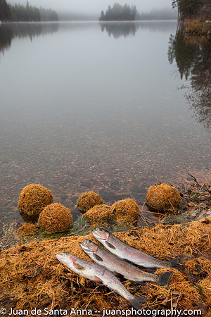 Fall Fishing the Best-5529