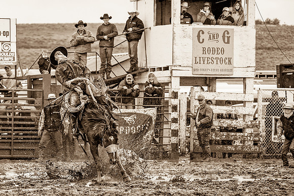 2008HLD Rodeo-11