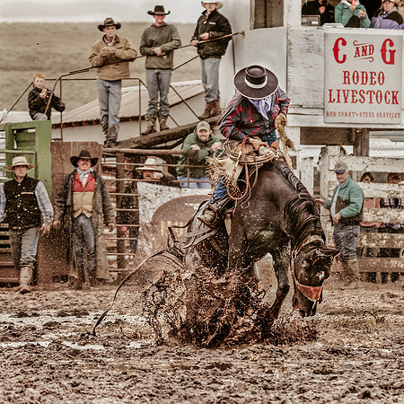 2008HLD Rodeo-12