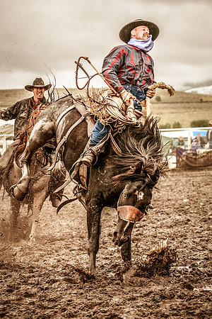 2008HLD Rodeo-13