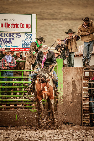 2008HLD Rodeo-14