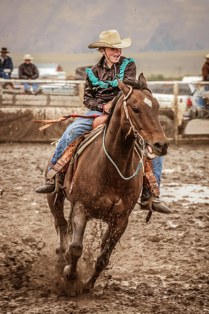 2008HLD-17