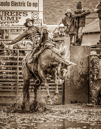 2008HLD Rodeo-18