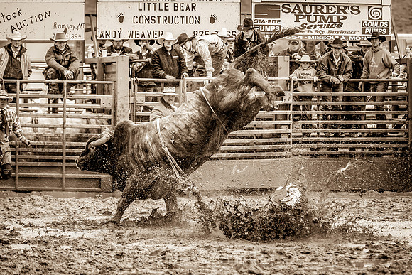 2008HLD Rodeo-20