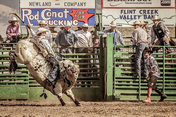 2012HLD Rodeo-23!