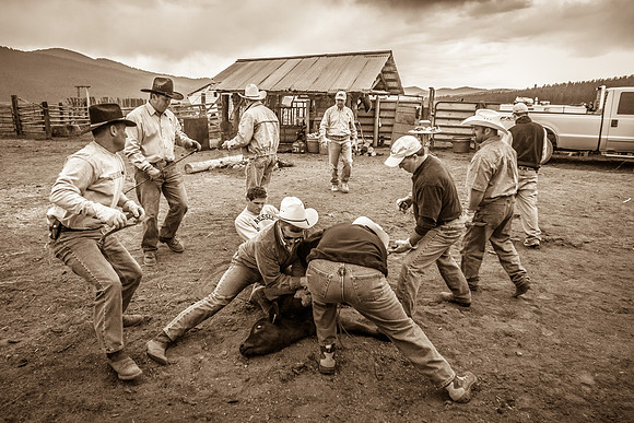 City Slickers' First Branding