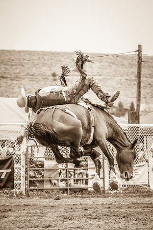 2013HLD Rodeo-47