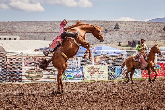 2012HLD Rodeo-24