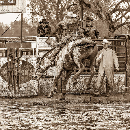 2011BHS-64