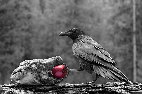 Sharing