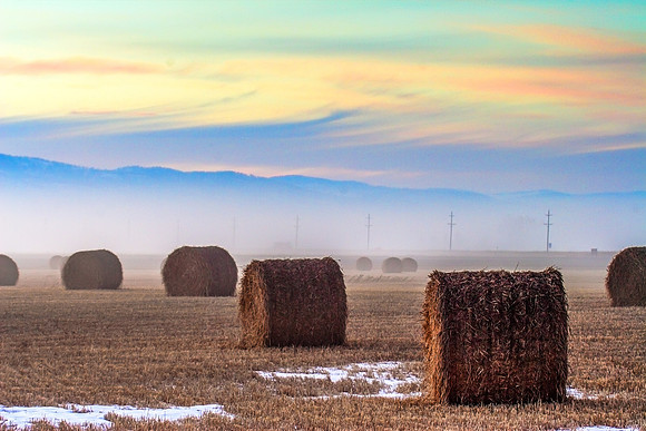 Where the Lonely Bale Sleeps