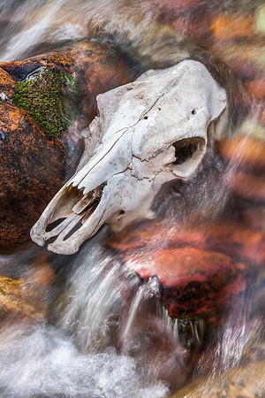 Water on My Brain