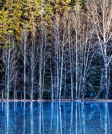 Mystic Pond