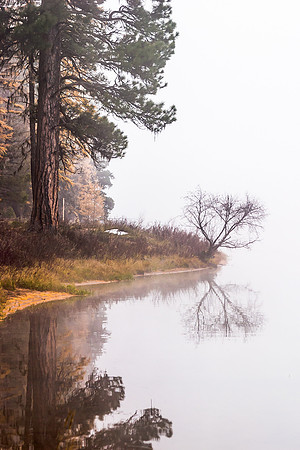 Reflective Existence
