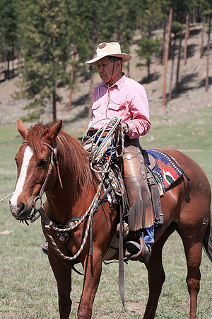 calf_branding_722