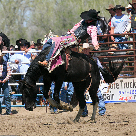 miles_city-2124-315