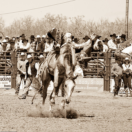 miles_city-2014-241