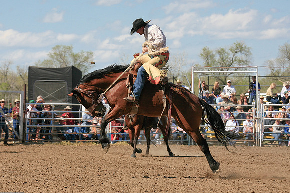 miles_city-2517-483