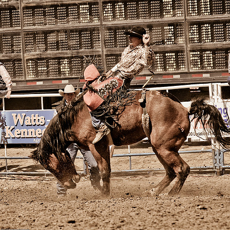 miles_city-2231-293